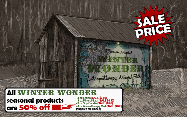Winter Wonder limited time sale, 50% off!